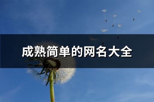 成熟简单的网名大全(精选407个)