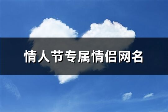 情人节专属情侣网名(223个)