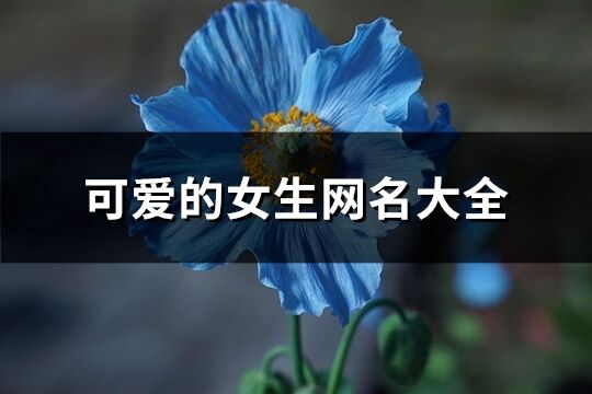 可爱的女生网名大全(优选614个)