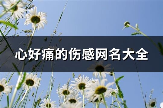 心好痛的伤感网名大全(共1202个)