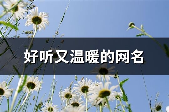 好听又温暖的网名(优选818个)