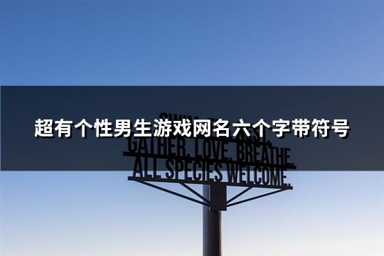 超有个性男生游戏网名六个字带符号(共206个)