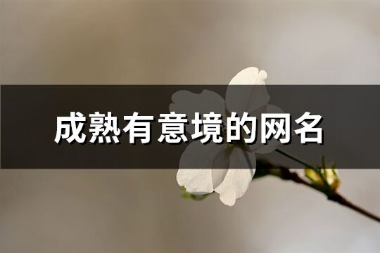 成熟有意境的网名(精选138个)