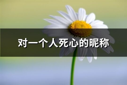 对一个人死心的昵称(165个)