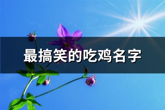 最搞笑的吃鸡名字(优选281个)