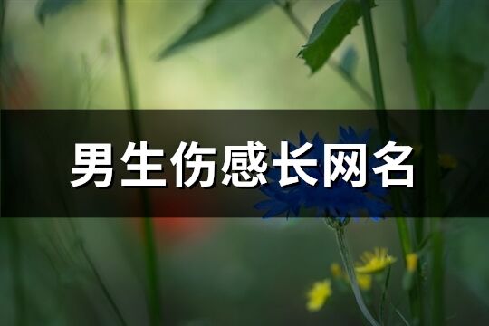 男生伤感长网名(精选626个)