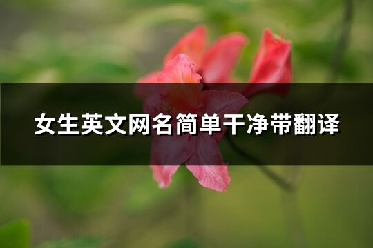 女生英文网名简单干净带翻译(共161个)