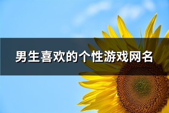 男生喜欢的个性游戏网名(优选336个)