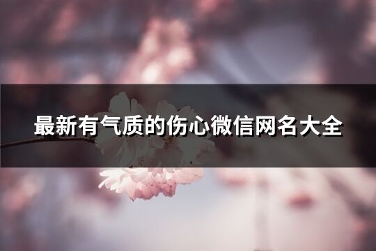 最新有气质的伤心微信网名大全(精选1284个)