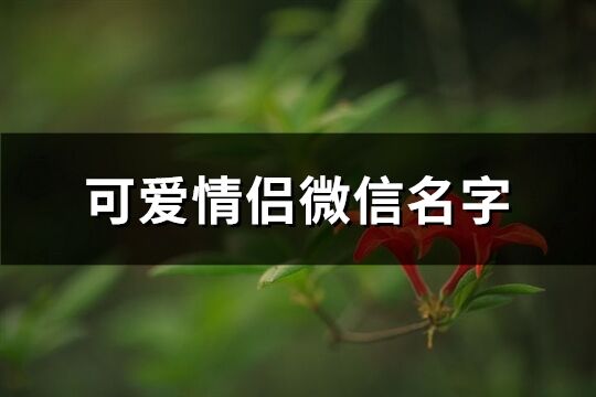 可爱情侣微信名字(优选201个)