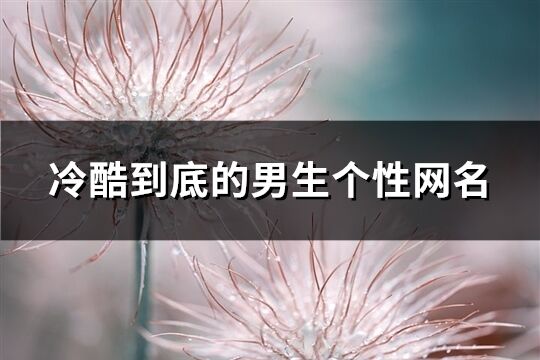 冷酷到底的男生个性网名(精选648个)