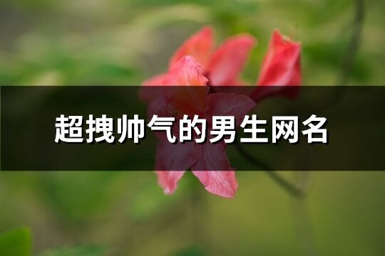 超拽帅气的男生网名(优选438个)