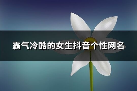 霸气冷酷的女生抖音个性网名(635个)