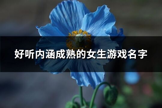 好听内涵成熟的女生游戏名字(411个)