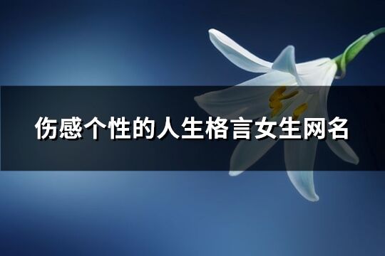 伤感个性的人生格言女生网名(精选337个)