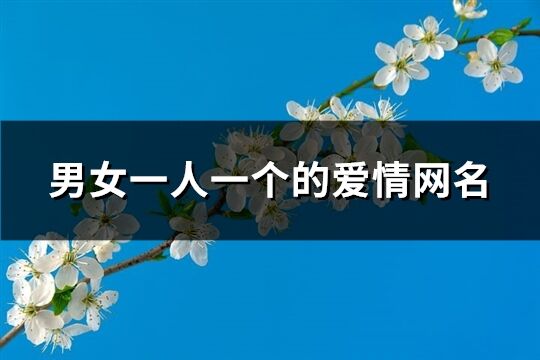 男女一人一个的爱情网名(优选130个)