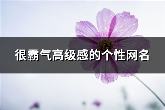 很霸气高级感的个性网名(精选645个)