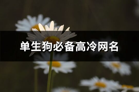 单生狗必备高冷网名(优选576个)