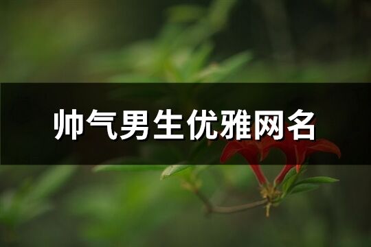 帅气男生优雅网名(优选311个)