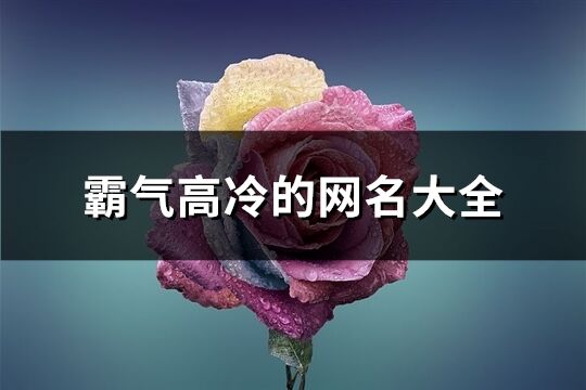 霸气高冷的网名大全(371个)