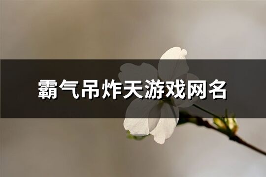 霸气吊炸天游戏网名(773个)