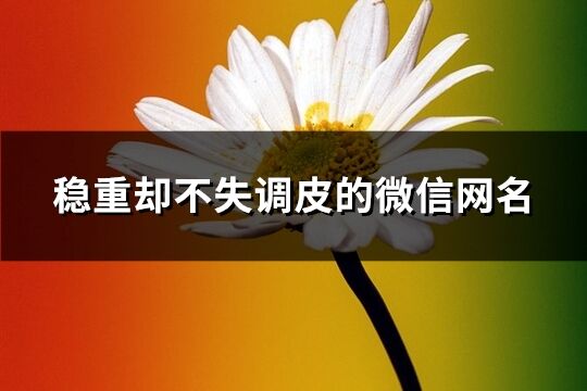 稳重却不失调皮的微信网名(共701个)