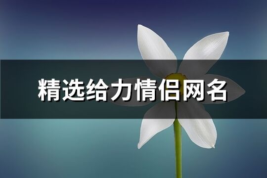 精选给力情侣网名(精选366个)