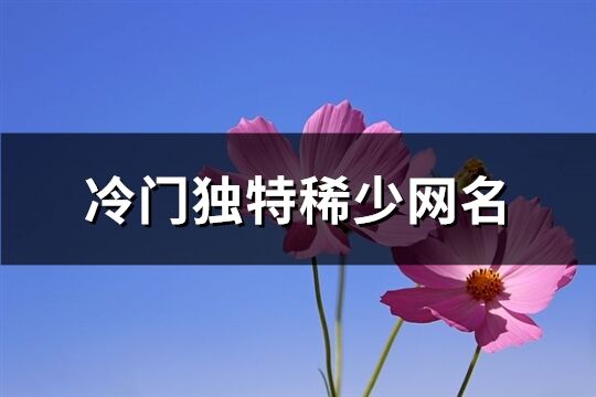 冷门独特稀少网名(优选297个)