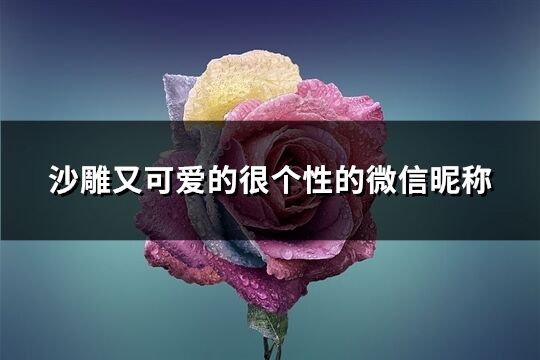 沙雕又可爱的很个性的微信昵称(206个)