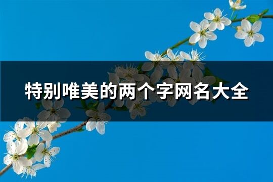 特别唯美的两个字网名大全(共644个)