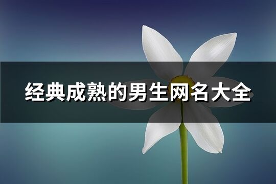 经典成熟的男生网名大全(精选700个)