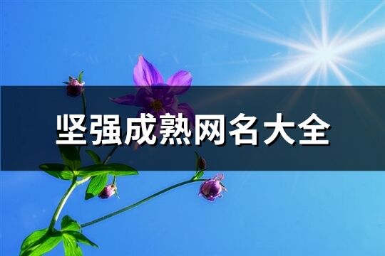 坚强成熟网名大全(精选180个)