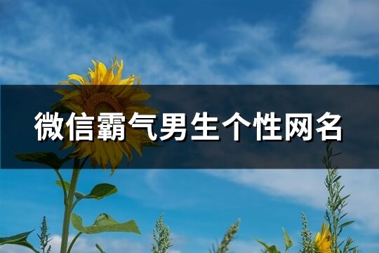 微信霸气男生个性网名(共324个)