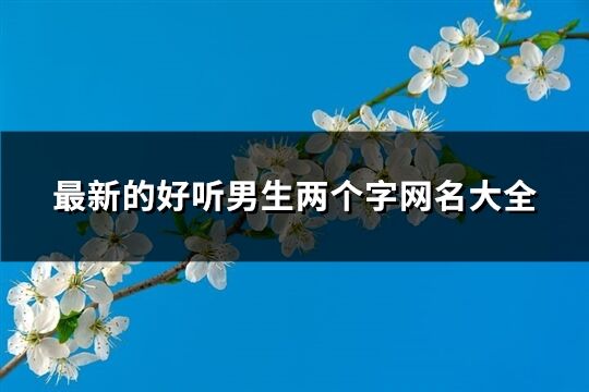 最新的好听男生两个字网名大全(共1822个)