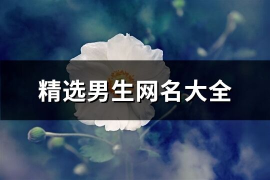 精选男生网名大全(452个)