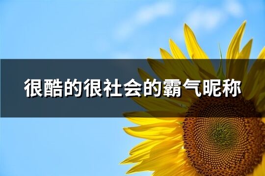 很酷的很社会的霸气昵称(207个)