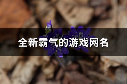 全新霸气的游戏网名(精选281个)