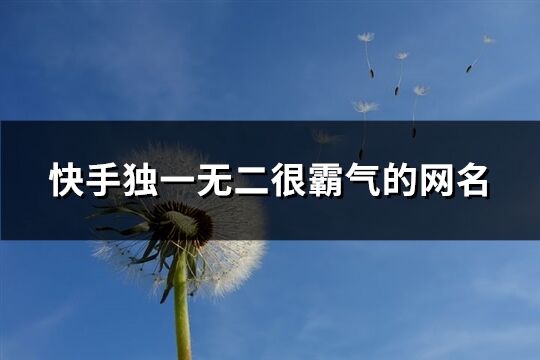 快手独一无二很霸气的网名(共141个)