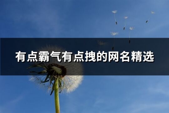 有点霸气有点拽的网名精选(优选321个)