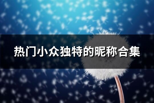 热门小众独特的昵称合集(543个)