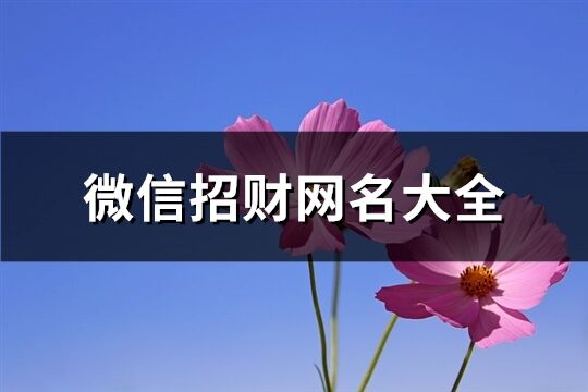 微信招财网名大全(共710个)