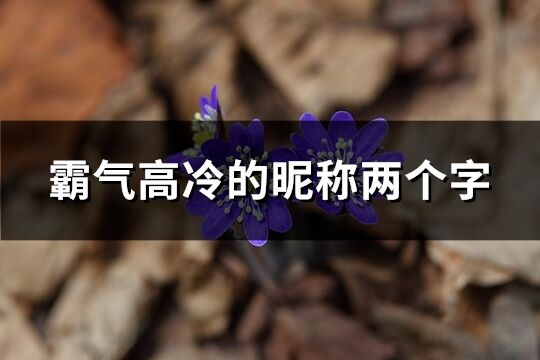 霸气高冷的昵称两个字(精选814个)