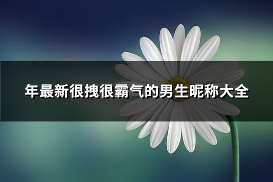 年最新很拽很霸气的男生昵称大全(共592个)