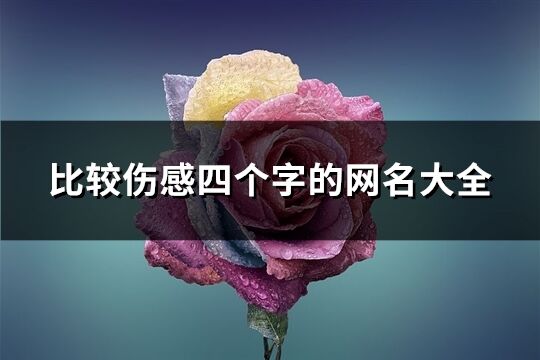 比较伤感四个字的网名大全(共1792个)