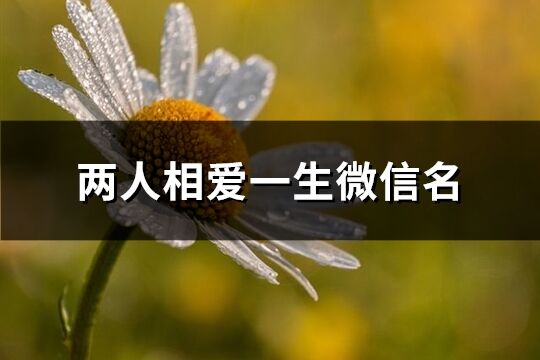 两人相爱一生微信名(优选150个)