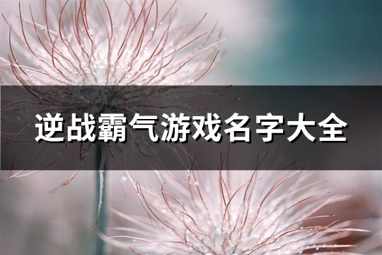 逆战霸气游戏名字大全(302个)