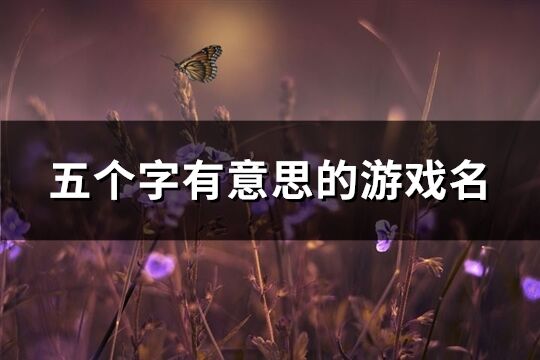 五个字有意思的游戏名(精选1265个)