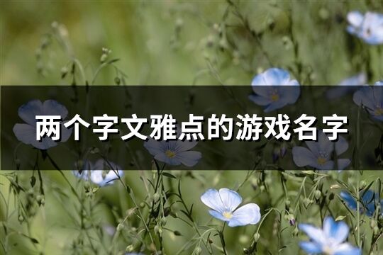 两个字文雅点的游戏名字(优选824个)