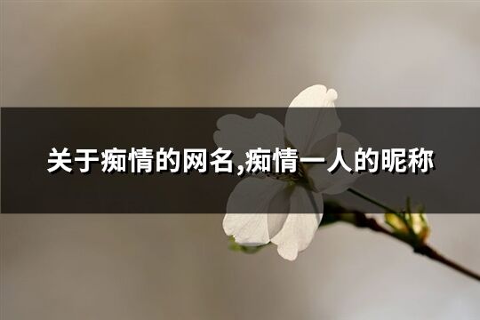 关于痴情的网名,痴情一人的昵称(优选174个)