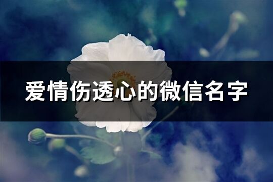 爱情伤透心的微信名字(共198个)